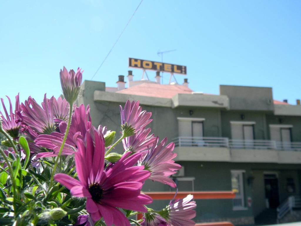 Hotel Restaurante Las Galias Zuera Zewnętrze zdjęcie